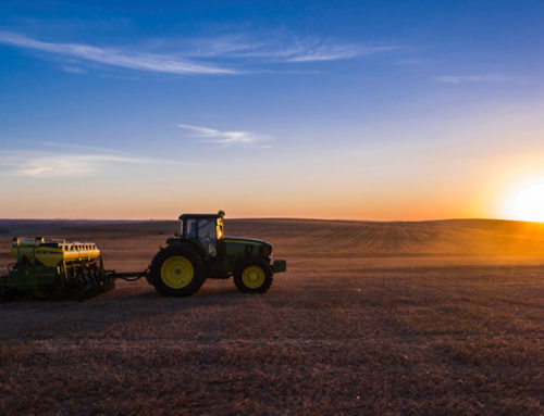 Agricultores realizam trabalhos noturnos para desinfeção das ruas